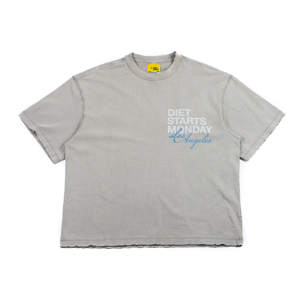 DSMLA Tee (Washed Grey)