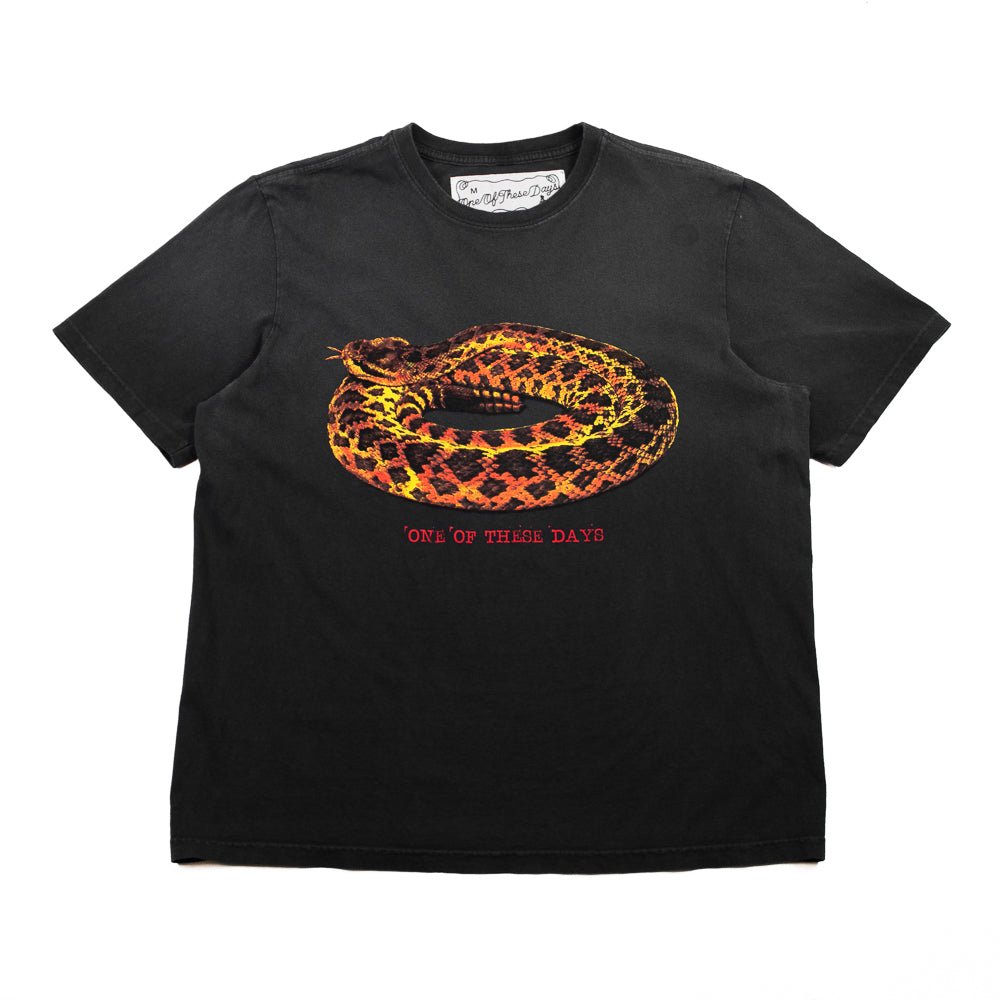 Rattler T-Shirt (Sun Faded Black)