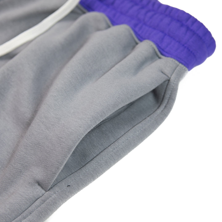 Jordan Brooklyn Men's Fleece Pants (Particle Grey)
