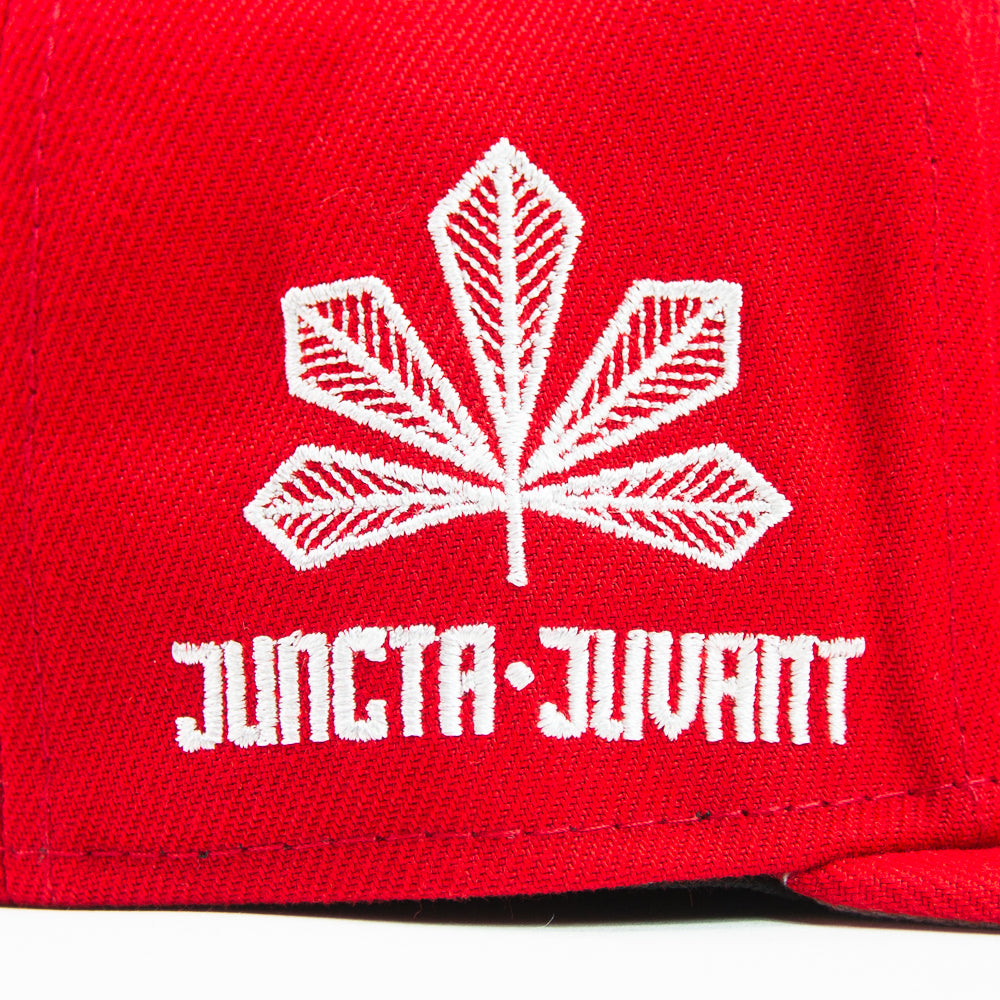 Cincinnati Reds City Connect Fitted Cap (Red/White)