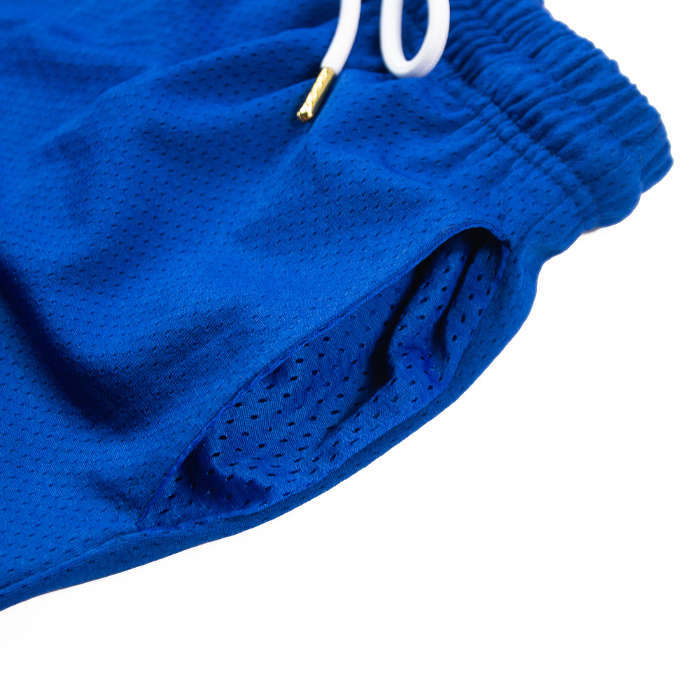 '25 Corporate Seek Shorts (Blue)