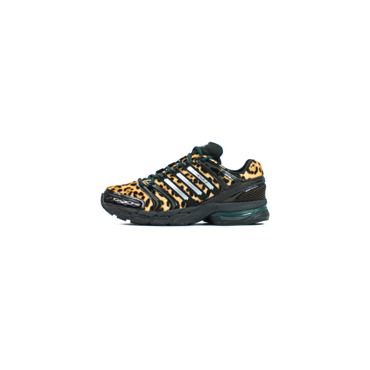 Wmns Adistar Control 5 (Aurora Ivy/Core Black/Metallic Silver)