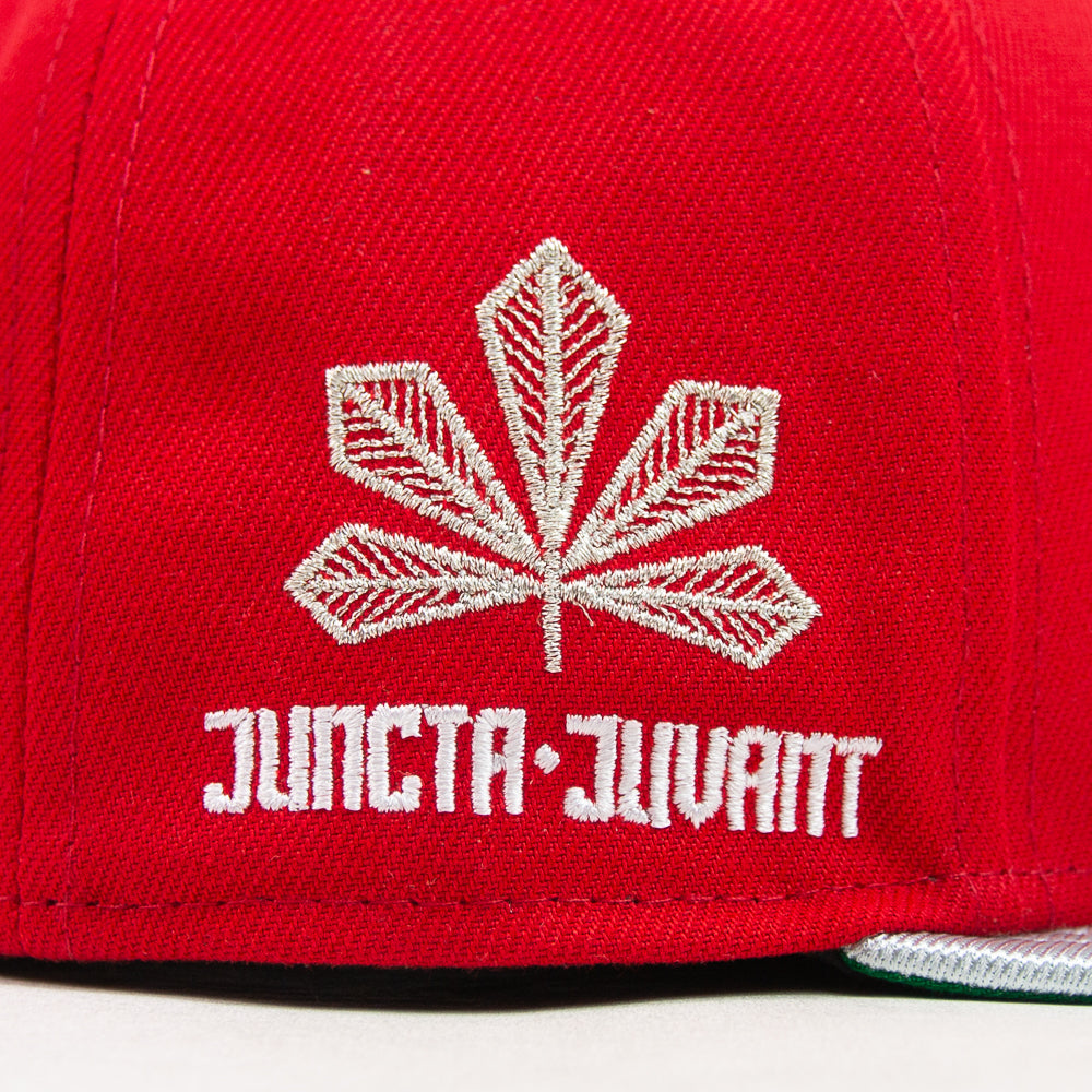 Cincinnati Reds City Connect Fitted Cap (Red/Metallic Silver)