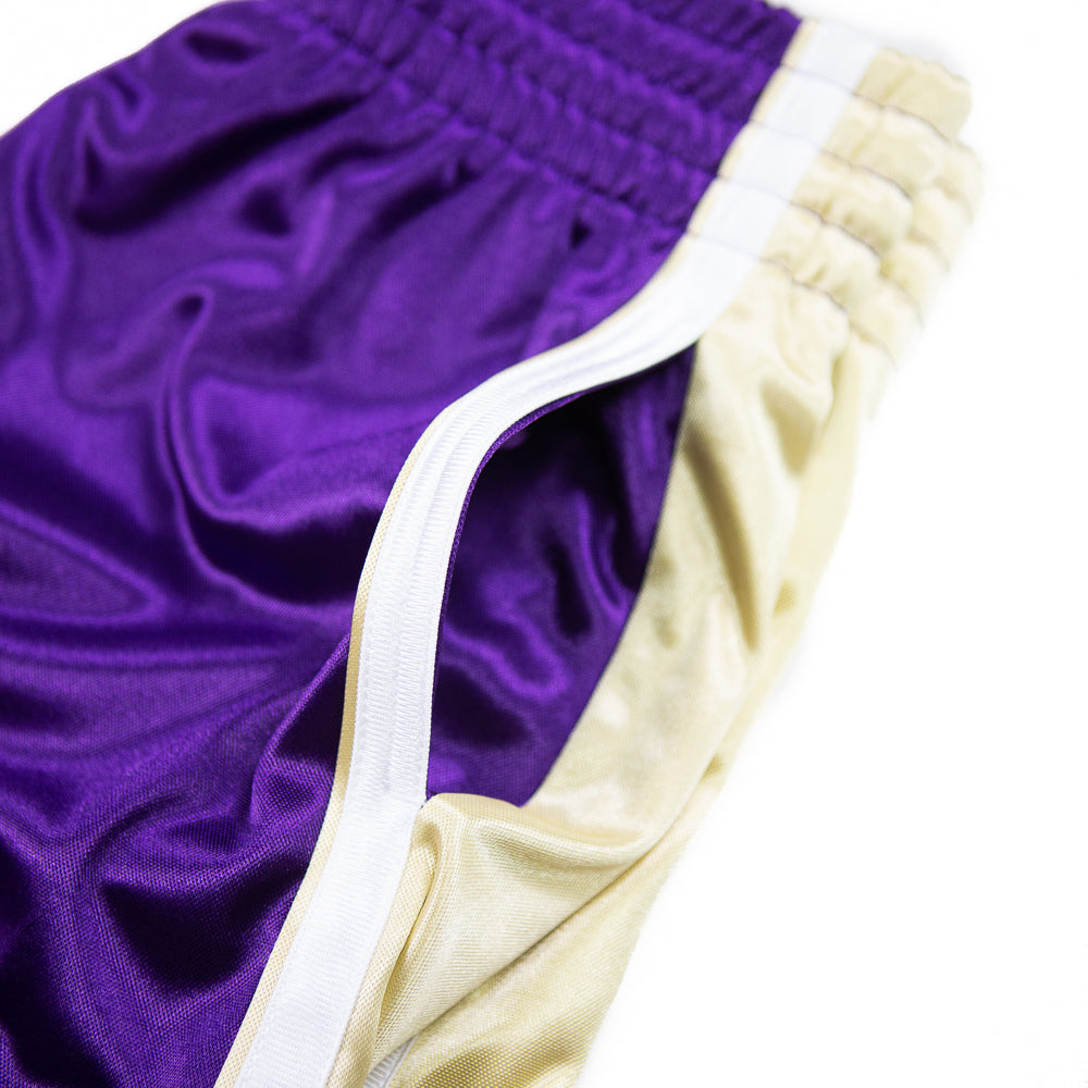 Authentic HOF Los Angeles Lakers Shorts 1996-2016 (Purple)